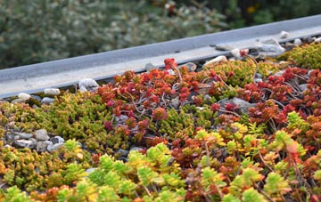 the cost of Kiddal Lane End green roof installation