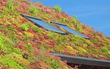 Kiddal Lane End living roof systems